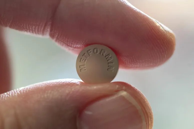 Holding Metformin Pill